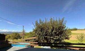 a skateboard ramp with a tree in a field at Nid douillet vaudois avec mezzanine in Bussigny
