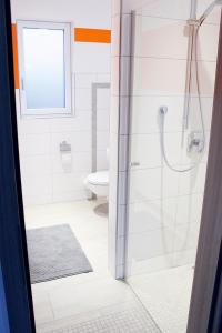 een badkamer met een douche en een toilet bij Hoofer Apartments in Schauenburg
