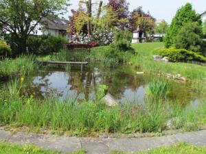 Gallery image of Ferienwohnung Schleibinger in Laufenburg +16 photos