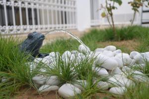 a frog is drinking water from a fountain at Tunisia Queen Apartment in Hammamet