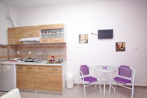 Kuchyň nebo kuchyňský kout v ubytování Sklavos Studios