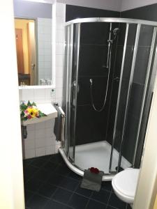 a bathroom with a shower with a sink and a toilet at Hotel Ambiente in Halberstadt