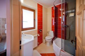 a bathroom with a toilet and a sink and a shower at Wynajem Pokoi ,,Góry Tatry Wypoczynek "Paweł Kuczyński in Czarna Góra