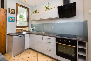 uma cozinha com um lavatório e um fogão forno superior em SAS Apartamenty Baron em Szczecin