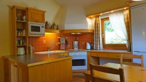 Dapur atau dapur kecil di Pension Dachsteinhof