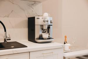 Kuchyň nebo kuchyňský kout v ubytování Rezydencja Ogród Saski Lublin