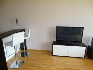TV a/nebo společenská místnost v ubytování Apartment Čeladná