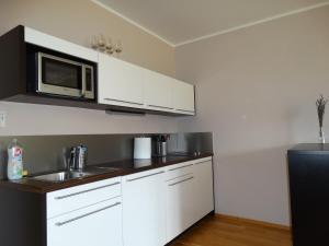 Kuchyň nebo kuchyňský kout v ubytování Apartment Čeladná