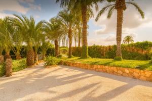 a walkway with palm trees and a stone wall at Palmeras in Elche
