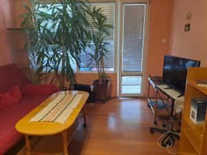 TV a/nebo společenská místnost v ubytování Apartment Milevi