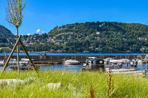 a bunch of boats are docked at a marina at Central Apartment Caniggia 1 with Terrace in Como in Como