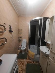 a small bathroom with a toilet and a sink at Затишна, домашня 43м в тихому зеленому місці Поруч Центральний парк Університет in Irpin'