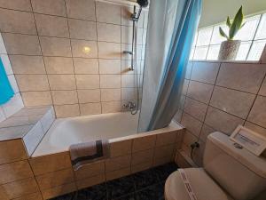 a bathroom with a tub and a toilet and a shower at Cedar House a Greek treasure in Sami +26 photos