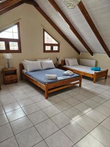 a bedroom with two beds in a attic at Cedar House a Greek treasure in Sami