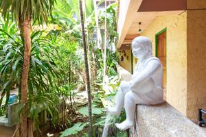 O grădină în afara Casa Brazil Homestay