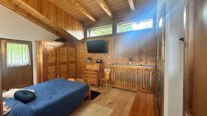 a bedroom with a bed and a desk and a television at Villa Tersilla in Santo Stefano di Cadore