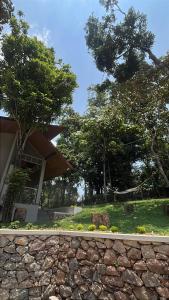Zahrada ubytování Lucas Rainforest