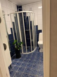 a bathroom with a shower and a toilet at Bergtun's Corner - Sotra Vest in Sekkingstad +19 photos