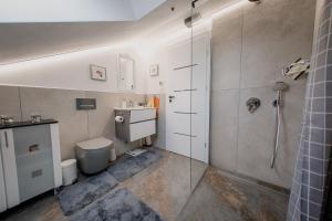 a bathroom with a shower and a toilet and a sink at Apartament Mary privat Bistrita Nasaud Rumänien in Bistriţa +25 photos