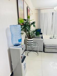 a living room with a plant on top of a refrigerator at Skyhorse condo in Nairobi +49 photos