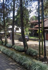 een rij bomen en planten op een straat bij Ria Villa Istana Bunga in Tegalharendong