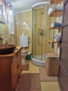 Et badeværelse på Casuta cu Brazi