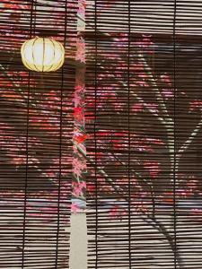 a room with a window with blinds on it at Ryokan Tori in Kyoto