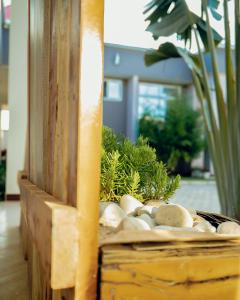 a basket filled with rocks and plants in a room at Advem Villa in Dodoma