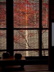 a window with a view of a tree outside at Ryokan Tori in Kyoto