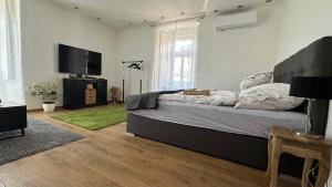 a bedroom with a bed and a flat screen tv at Eötvös Apartman in Cegléd