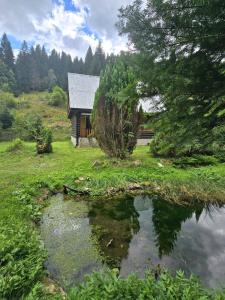 a log cabin with a pond in front of it at Chata pri jazierku - Cottage by the Little Lake in Nižná Boca +24 photos