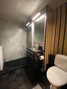 a bathroom with a white toilet and a sink at Cozy apartment from Raahe! in Raahe +17 photos