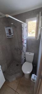 a small bathroom with a toilet and a shower at EVA'S Home in Korissia