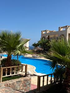 La alberca dentro o cerca de Perl hous sunny Dahab