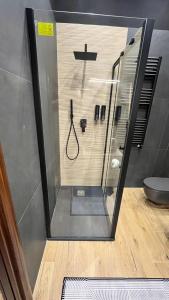 une cabine de douche dans une salle de bain avec toilettes dans l'établissement Suite del Corso, à Ficarazzi