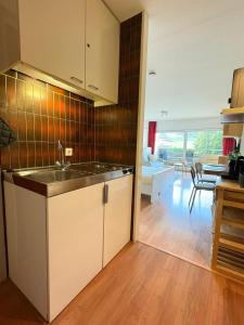 Η κουζίνα ή μικρή κουζίνα στο Alpen Studio Ellmau IV