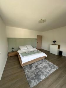 a bedroom with a large bed and a rug at Toni's house in Bled
