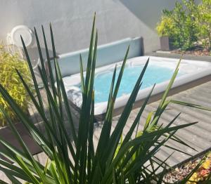 a plant in front of a swimming pool at gite O repaire de la corniche in Obernai