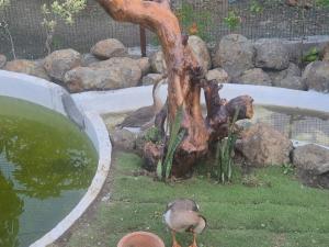 Gallery image of The Aangan Village in Bilqīsganj