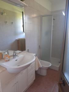 a bathroom with a sink and a toilet and a shower at Casa La V G in Almese