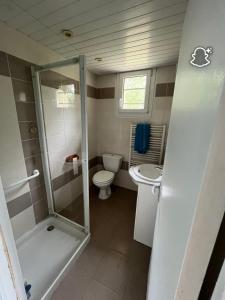 a bathroom with a shower and a toilet and a sink at Le_QG_Meymanais in Beauregard-Baret