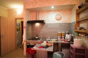 Kuchyň nebo kuchyňský kout v ubytování Suites Florence