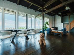 Posezení v ubytování ASNOVA RESORT 空の家ガーデンHotel
