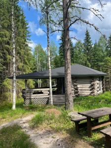 Příroda nedaleko apartmánu