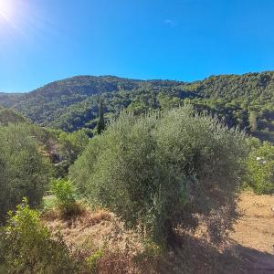 Φυσικό τοπίο κοντά σε αυτή η παραθεριστική κατοικία