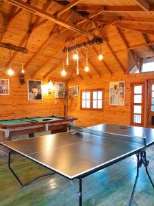 a ping pong table in a room with a ping at casa alpina Maxi premiun in Tigre +32 photos