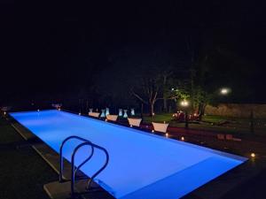 a large swimming pool lit up at night at LE JARDIN SUSPENDU Domaine Le Carteron in Montfaucon +7 photos