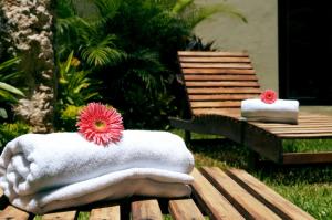 a bench with a pink flower on top of it at Hotel Casa Palomino in Mérida