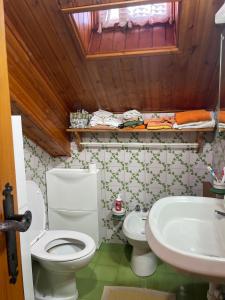 a bathroom with a toilet and a sink at Bufu s Home in Terminillo +20 photos