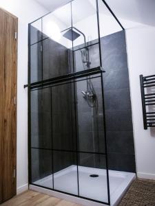 a shower with a glass enclosure in a bathroom at Panorama Luxury House in Teplice +27 photos